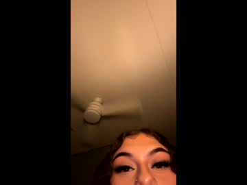dazzlingkitten