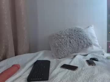 kitten mr